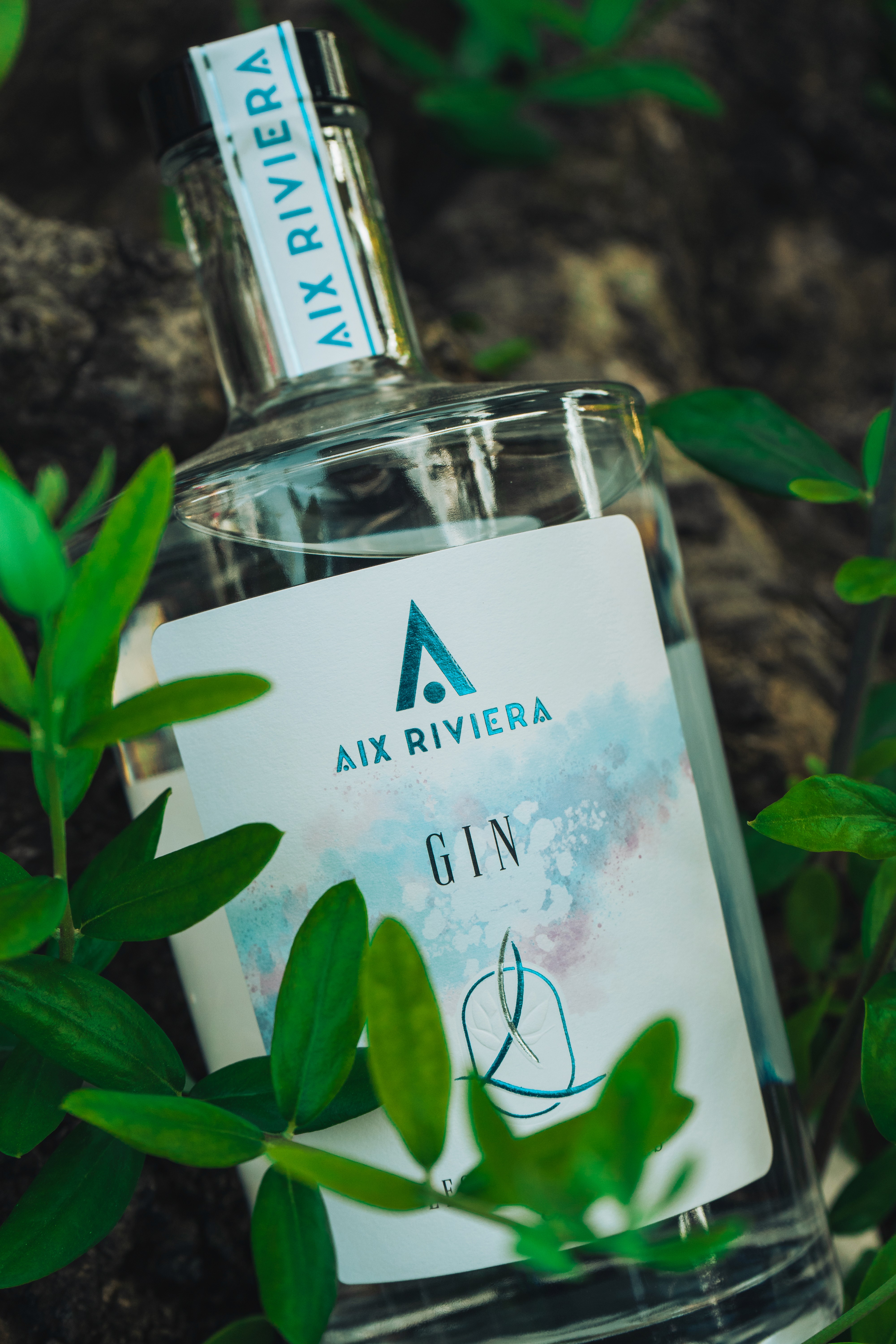 Photographe Chambéry