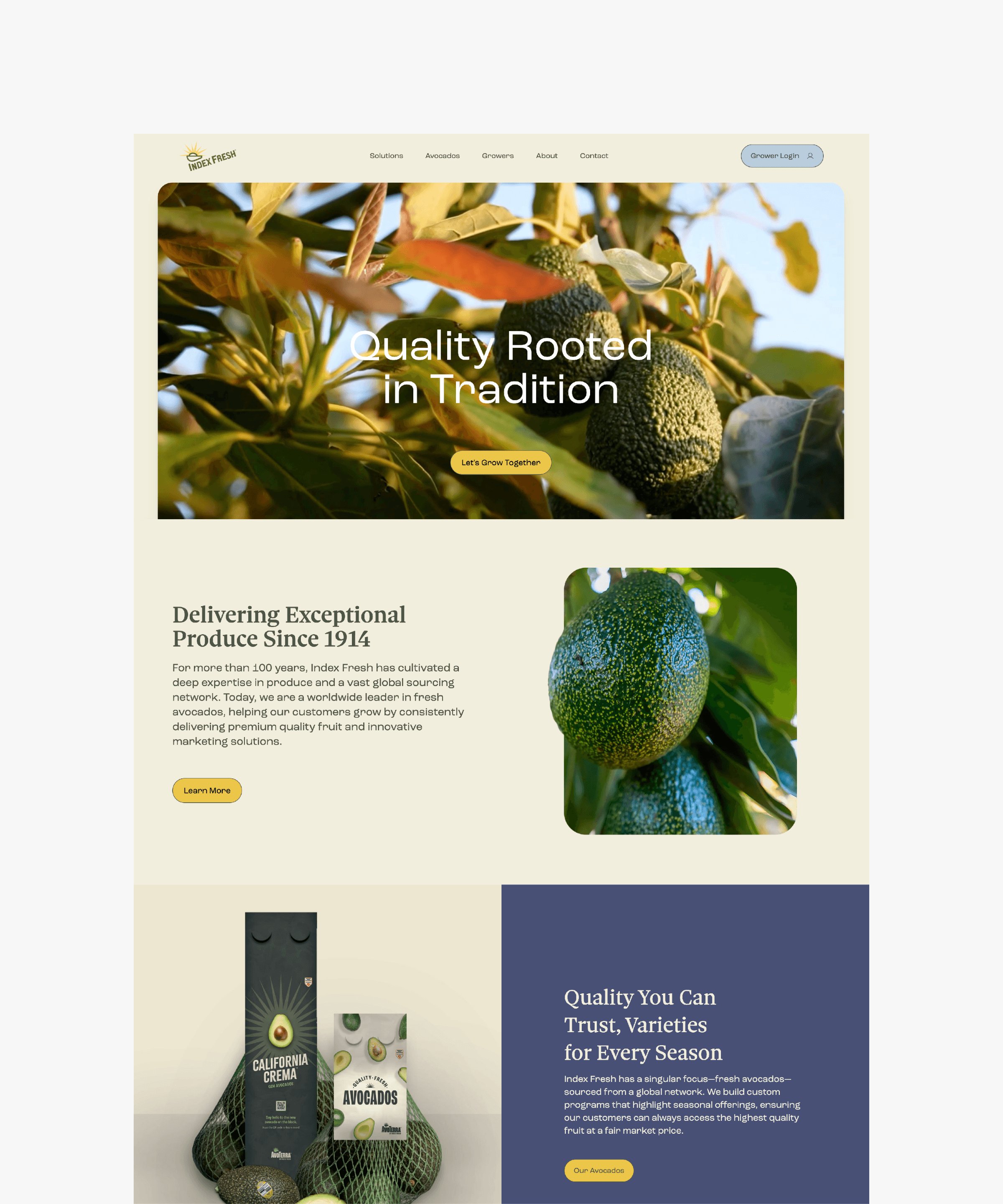Index Fresh website screen capture