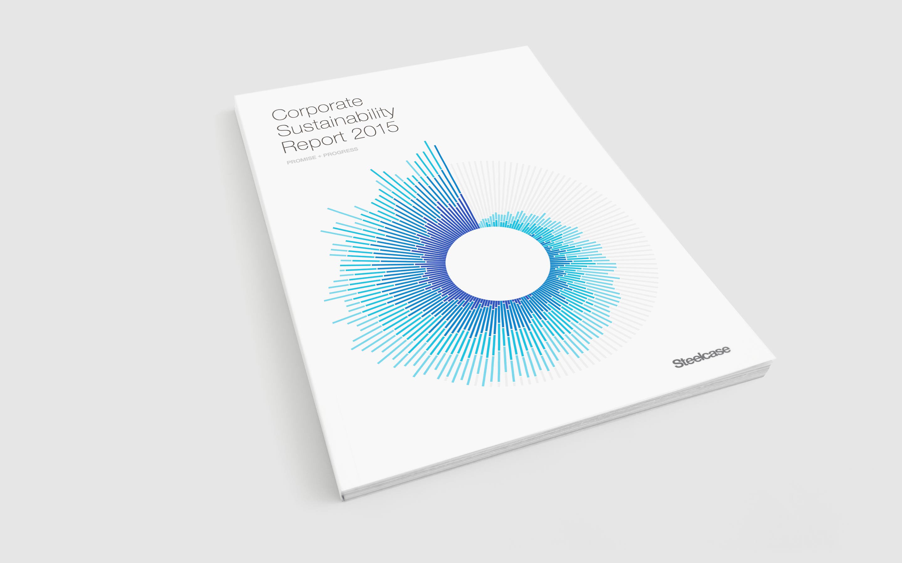 Steelcase RSE Report