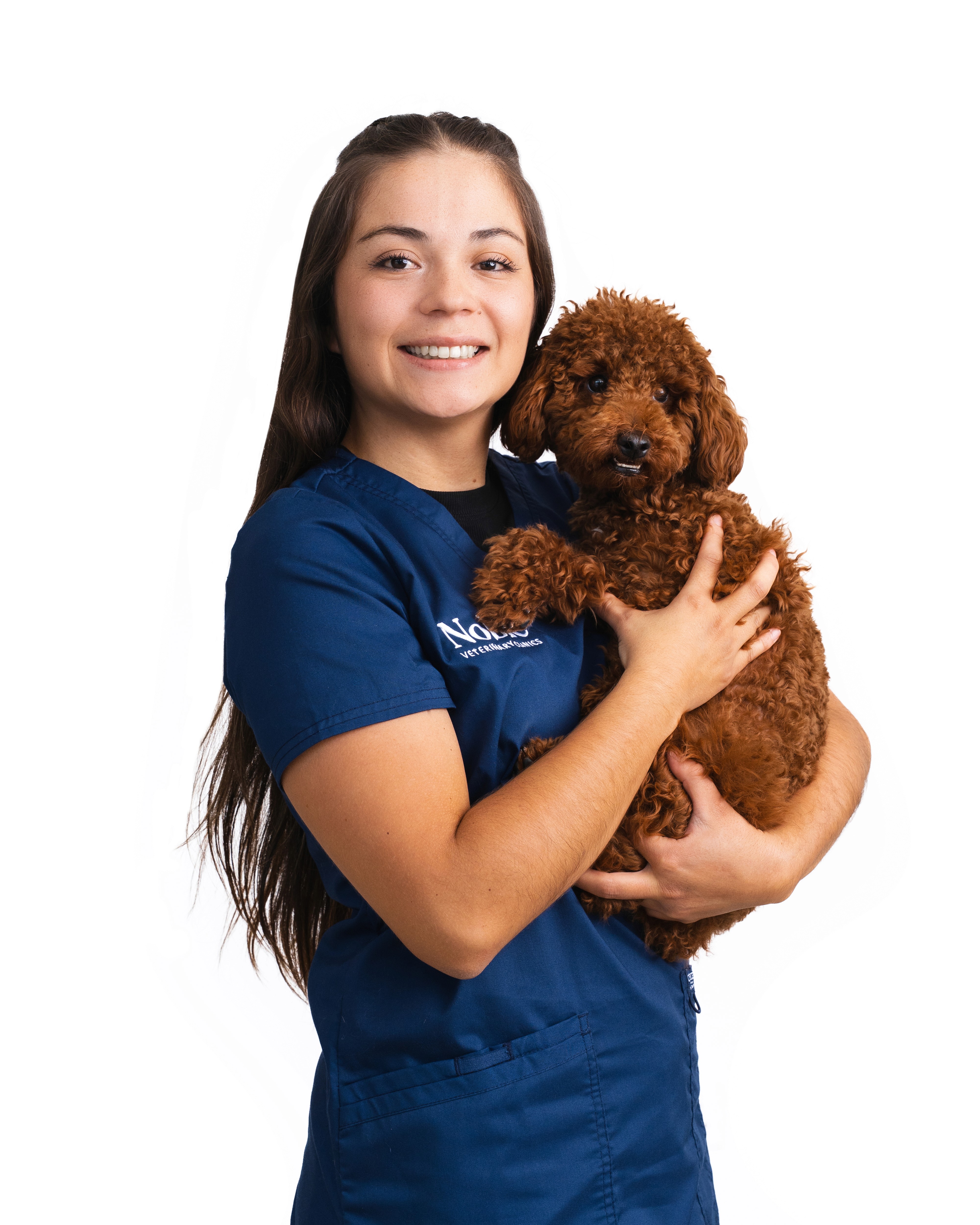 A veterinarian in a blue shirt is holding a brown dog in her arms.