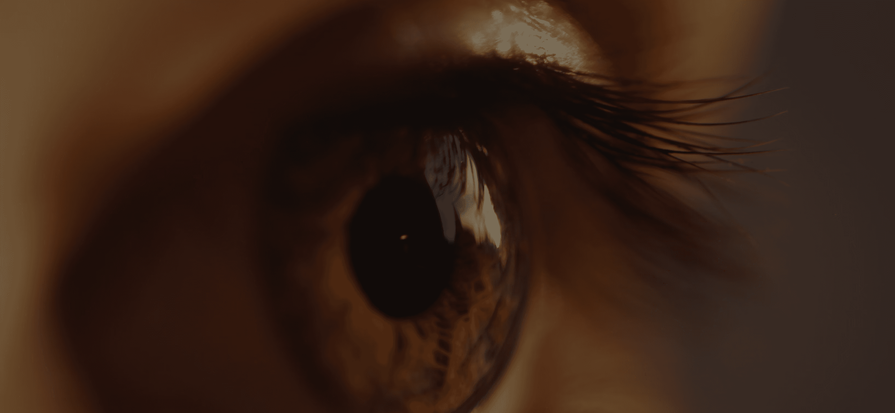 Close-up of a human eye with warm, soft lighting.