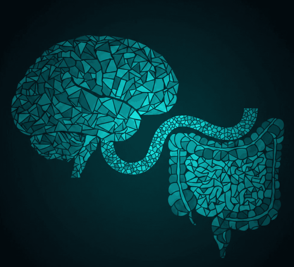 Residential Plumbing