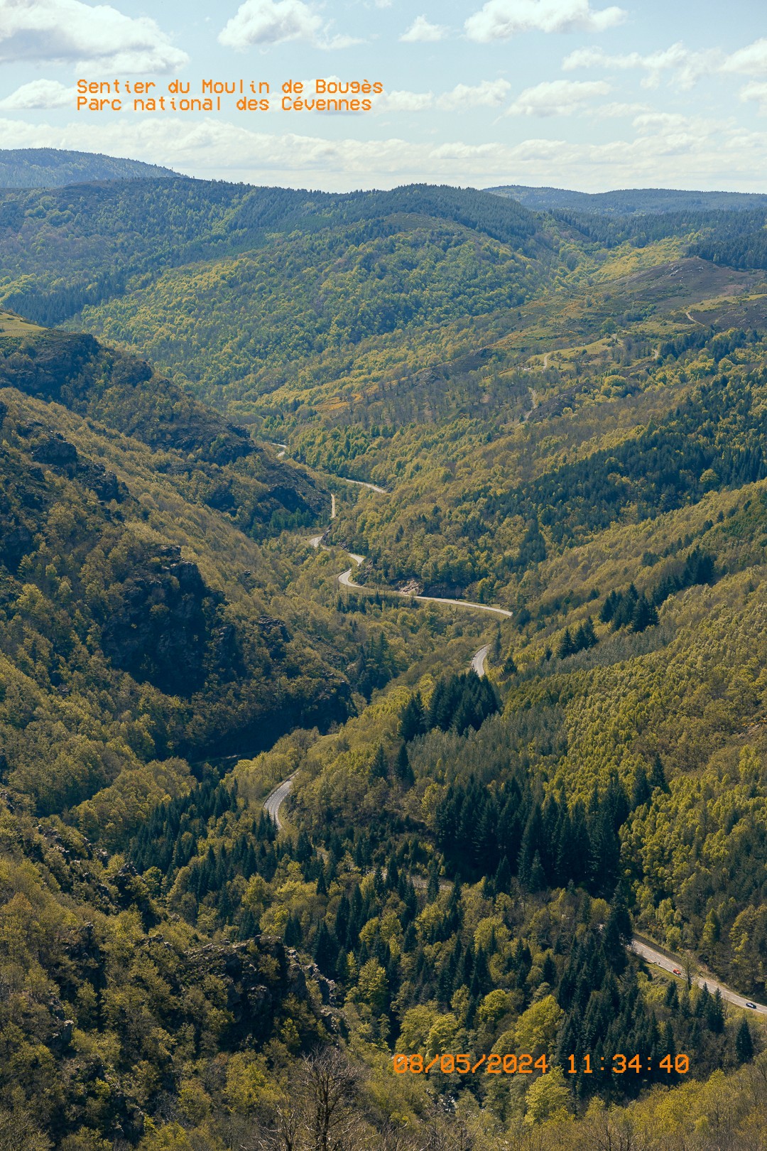 Paysage montagneux des Cévennes avec une route traversant les collines boisées.