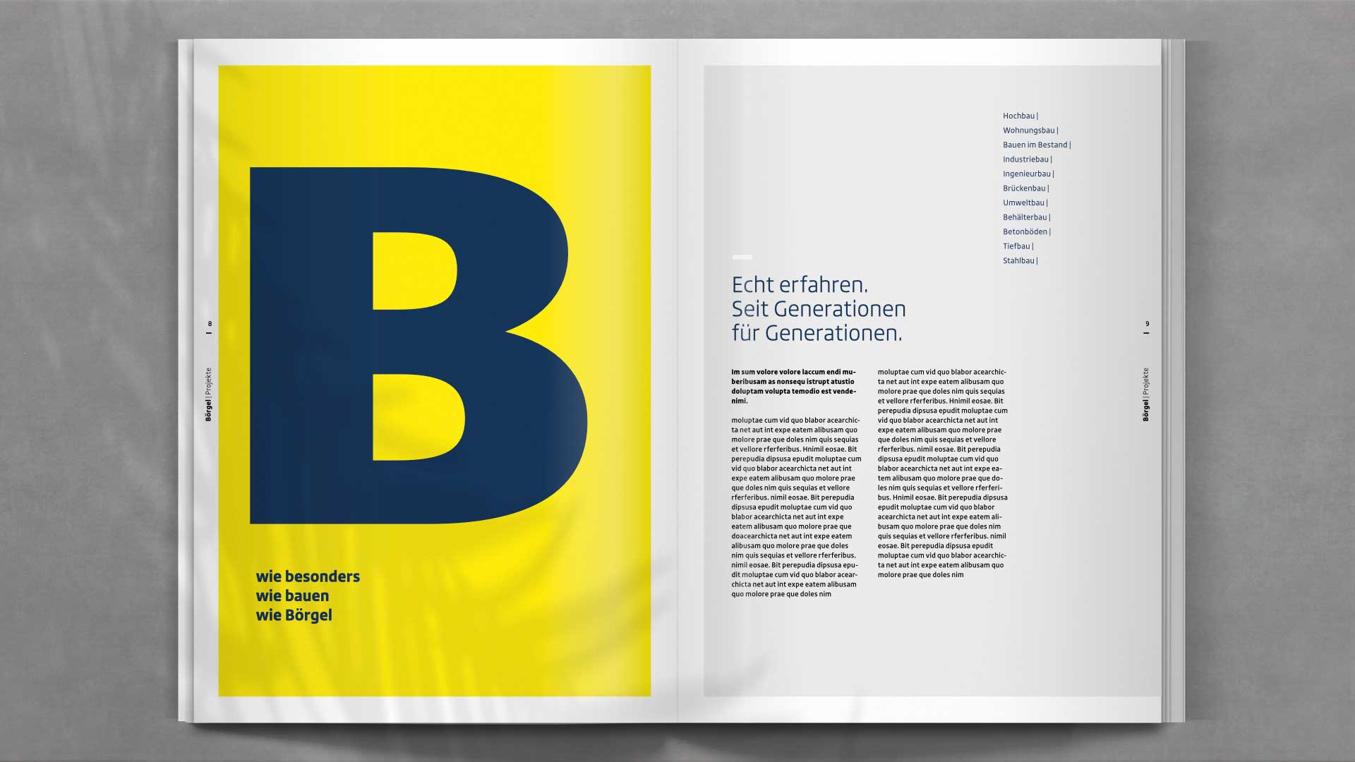 Doppelseite mit Projektbericht aus dem Bereich Ingenieurbau – übersichtlich strukturiert, mit Bild-Text-Komposition und pointierter Farbführung.