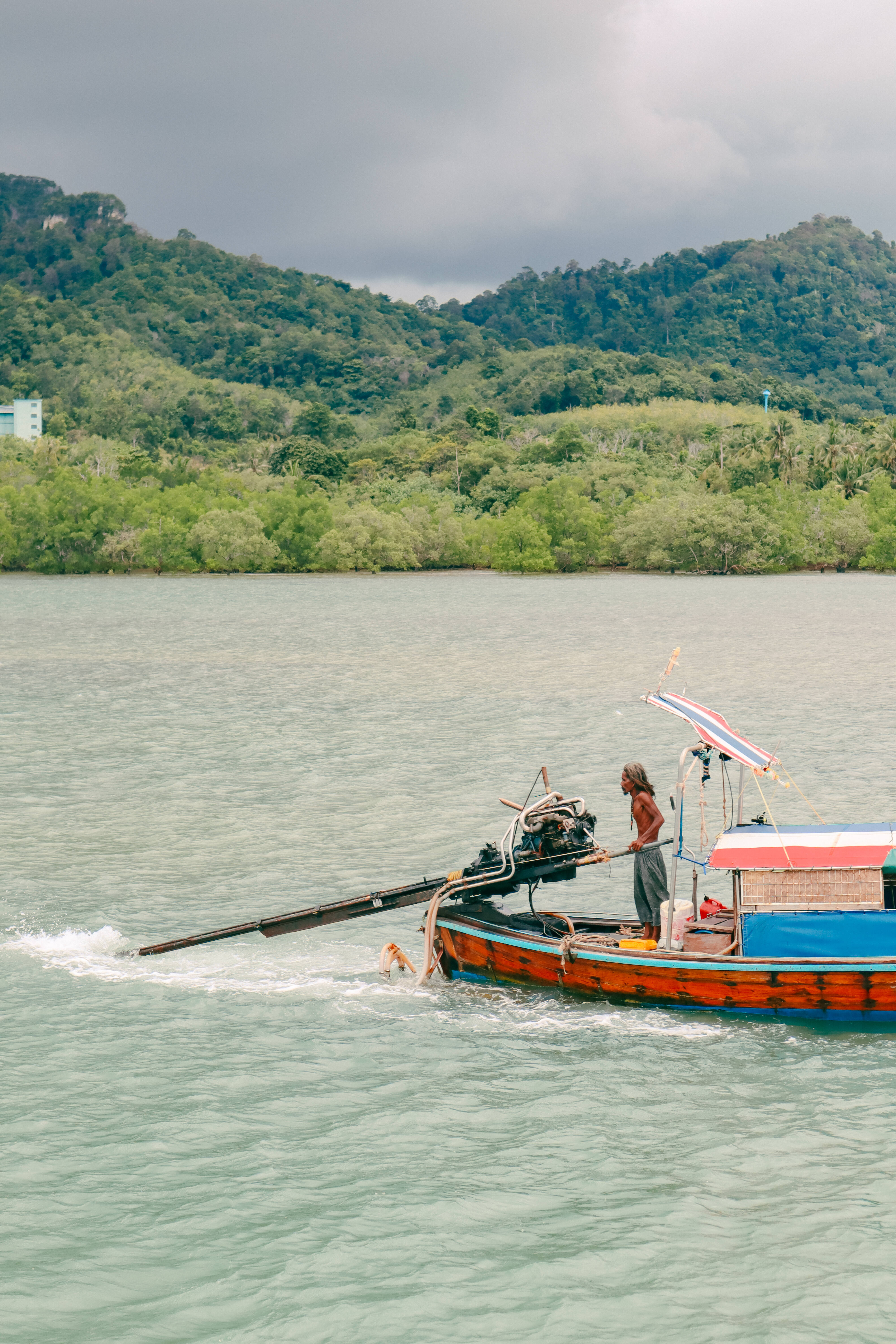 Big tree in front of huge mountain