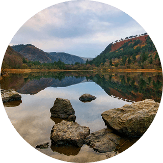 Gratitude in our common home