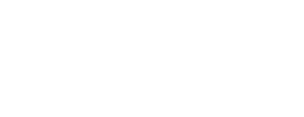 Logo NSF Branco