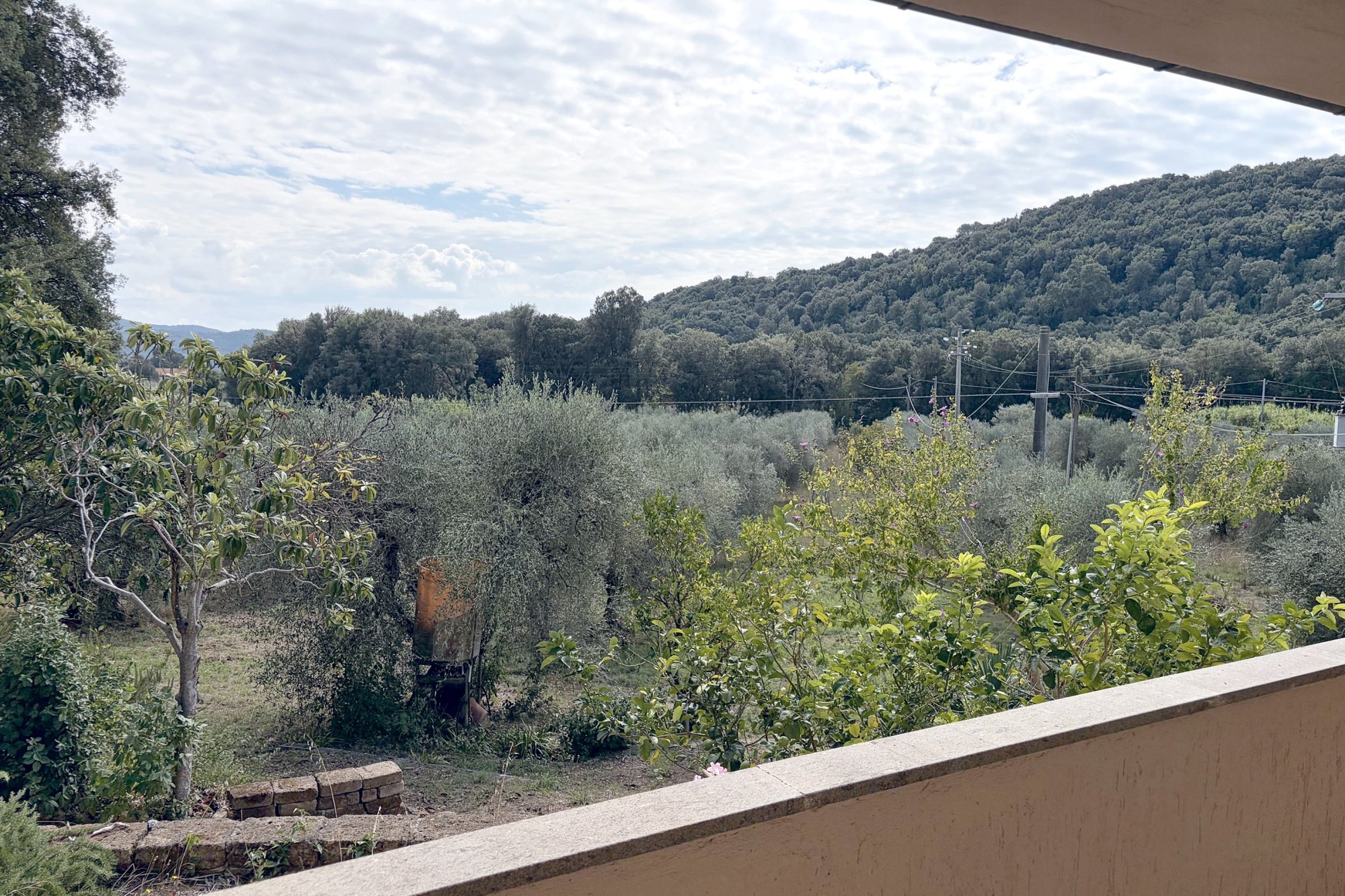 Casale Vista Provenza, Roccatederighi, Maremma Toscana