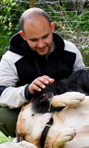 Woman hugging a dog at the beach