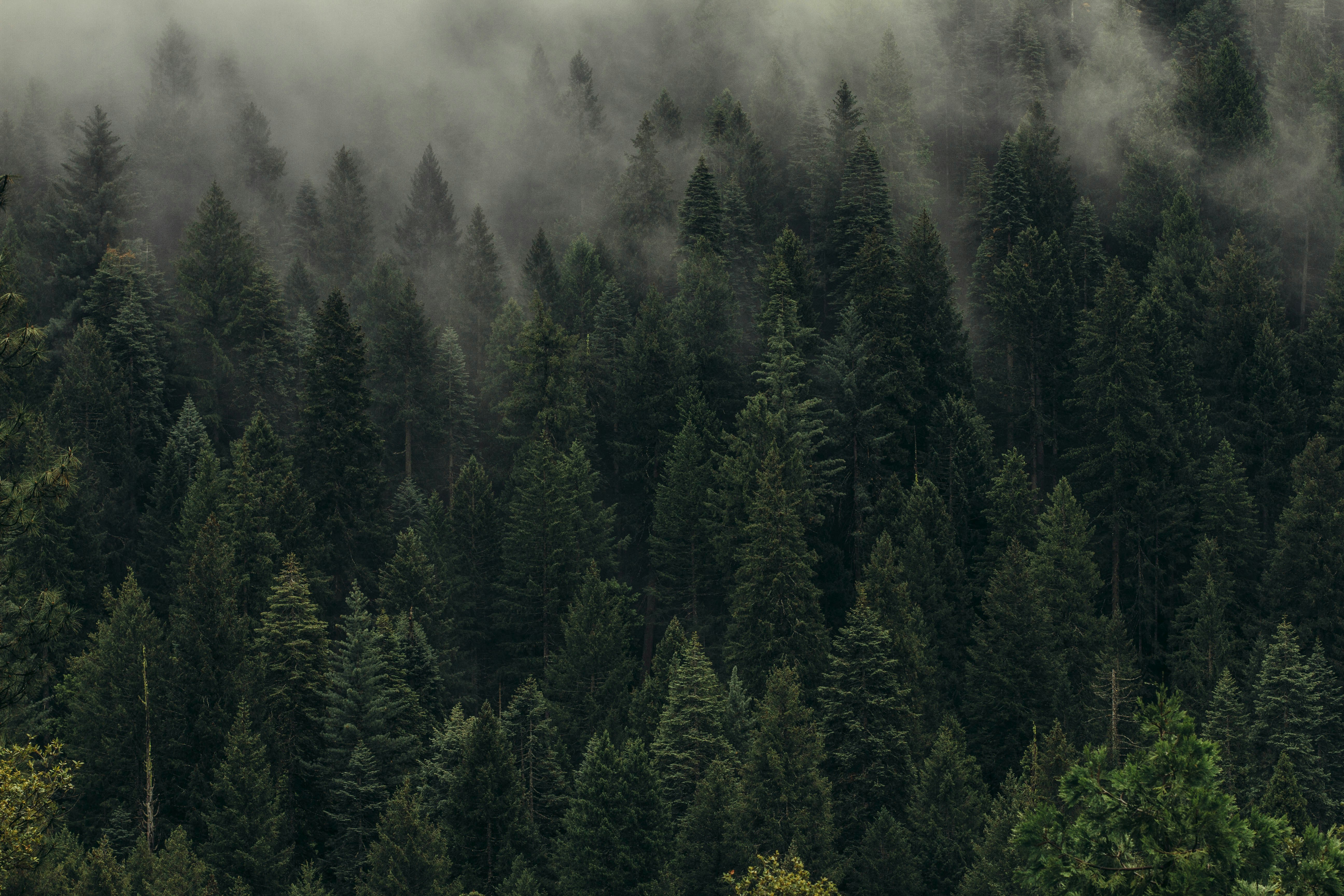 Alpine Provisions body care in a mountain setting