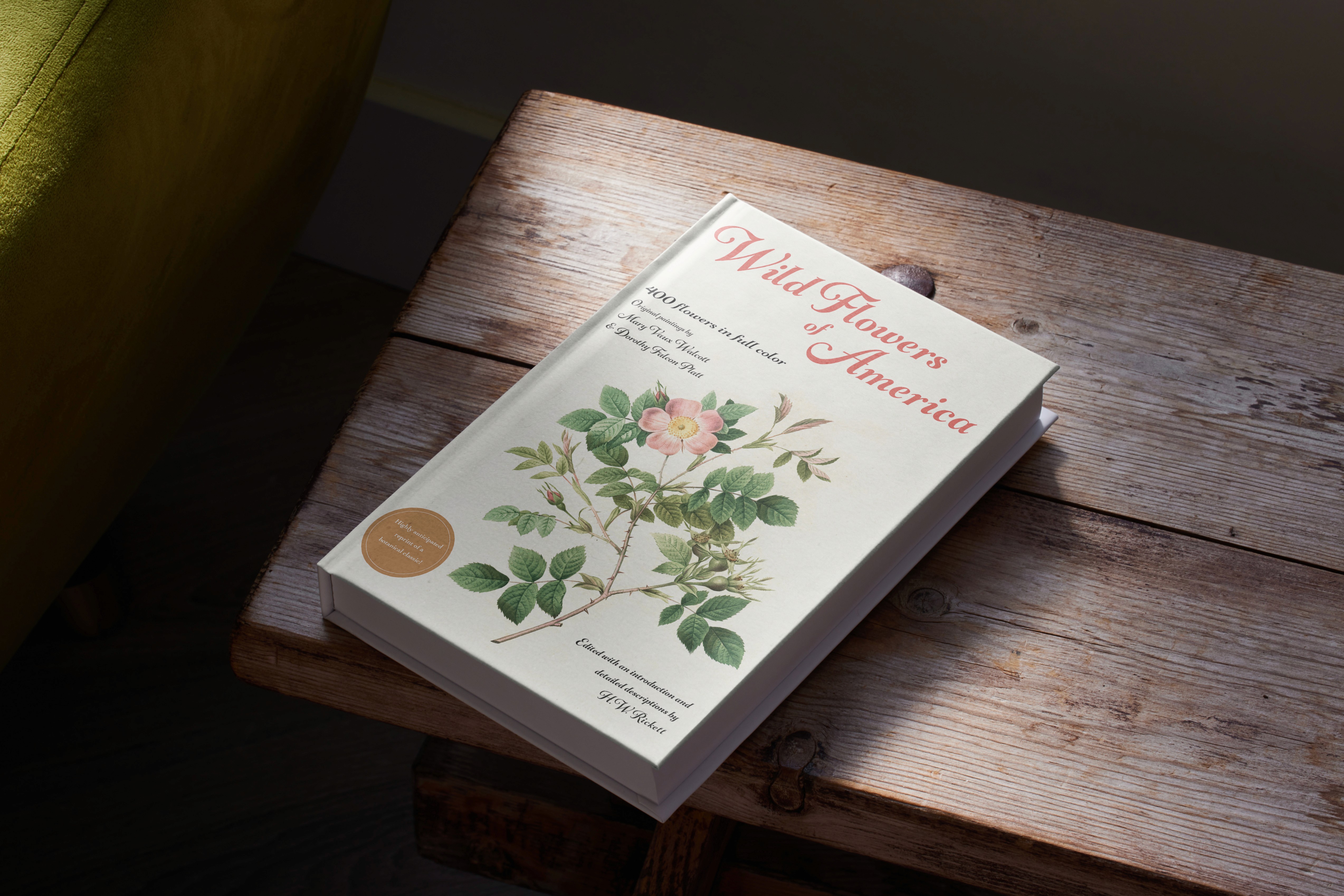 wildflowers of america book cover design