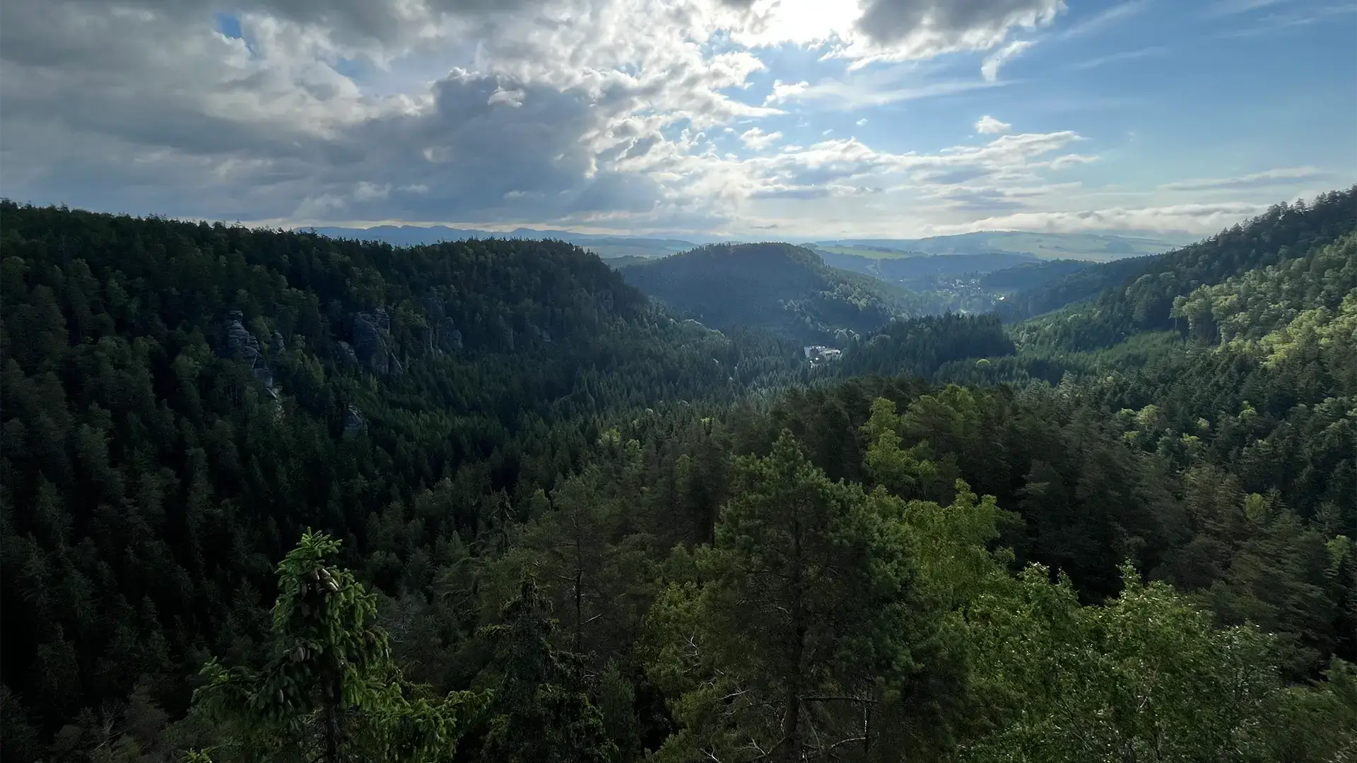 Panoramatický pohled na zalesněné kopce. Krajina, kde skladatel naslouchá přírodě a hledá inspiraci.