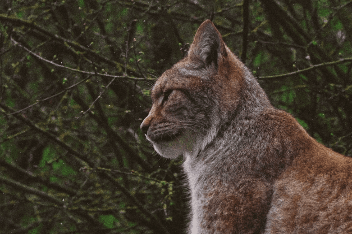 Nature & Vie sauvage