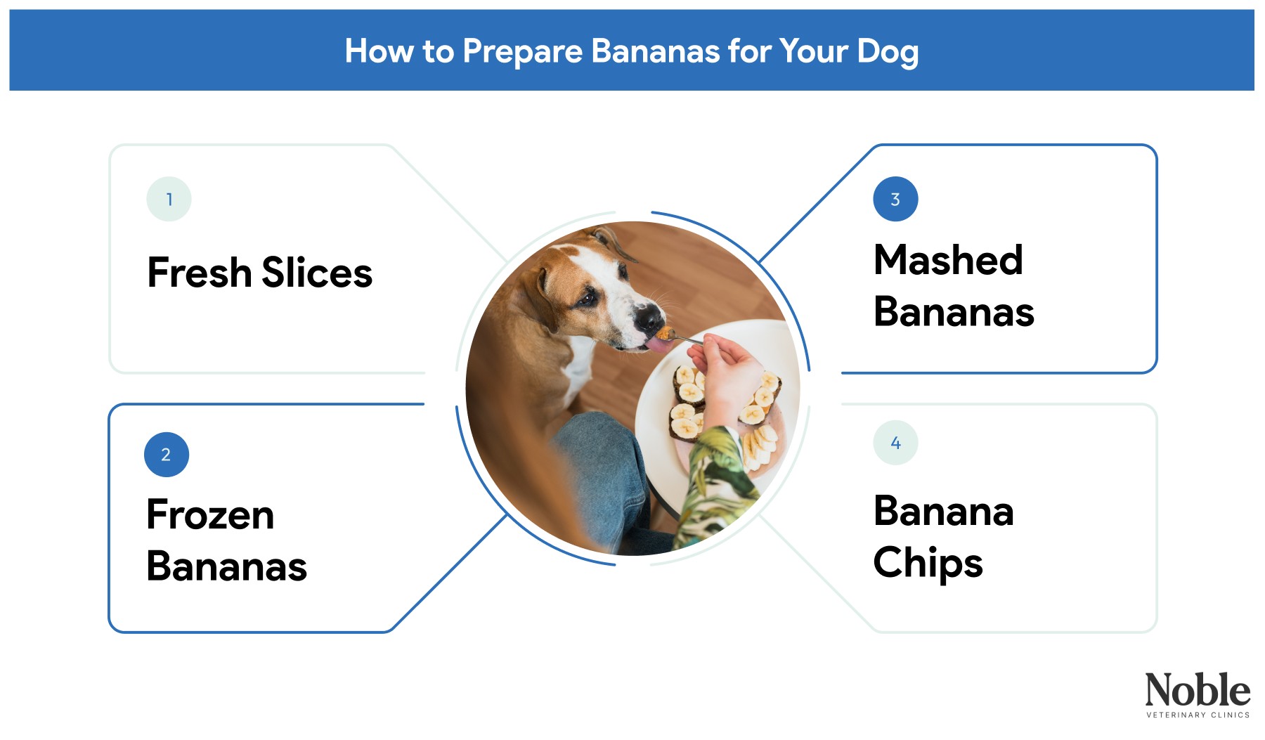 An infographic showing the ways to prepare bananas for dogs.