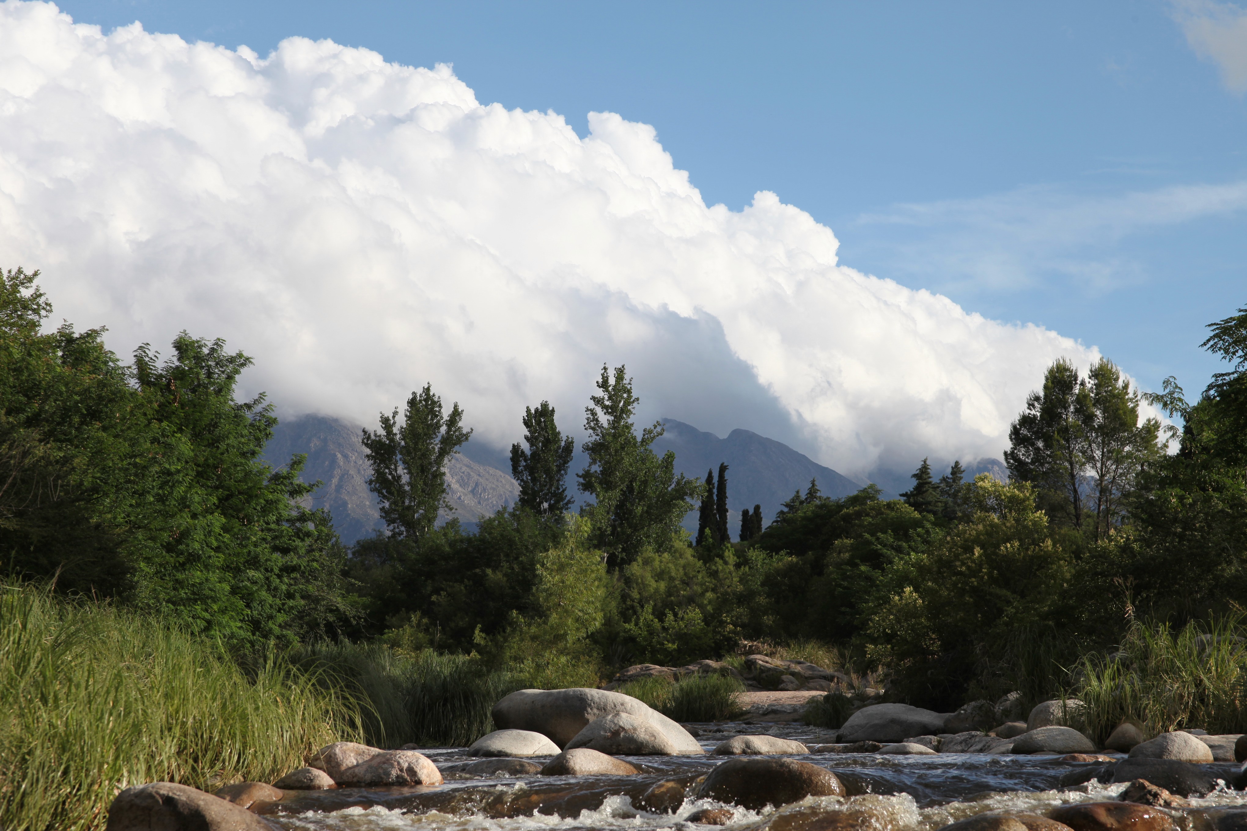kids lying on a glass land and smiling