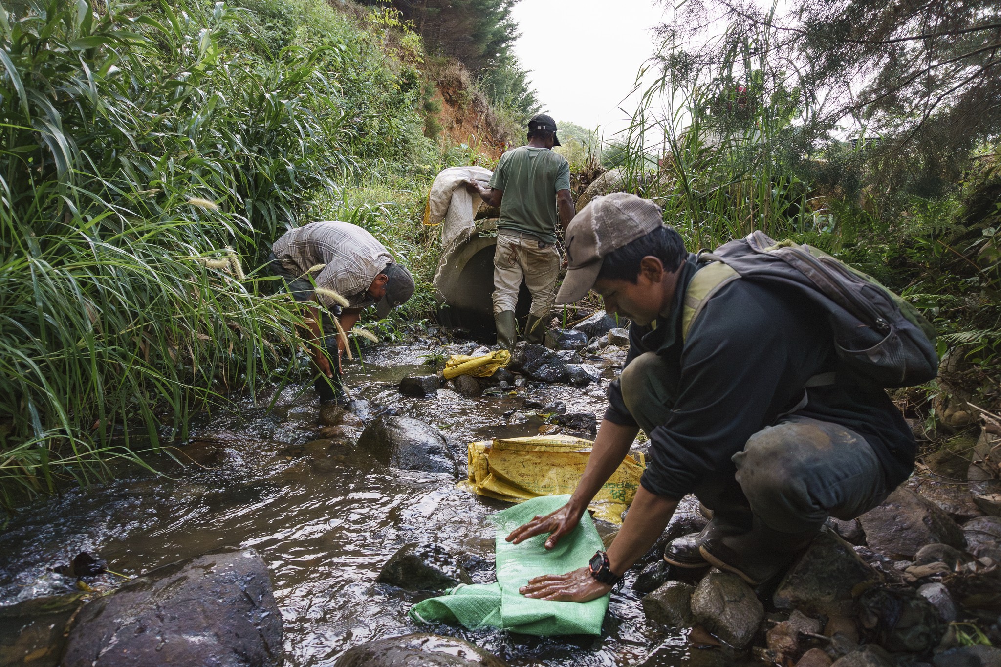 Three men work along a narrow stream surrounded by dense vegetation. One kneels in the foreground using a green tarp in the water, while the others search among rocks and plants. Buckets and yellow sacks are scattered around, suggesting environmental fieldwork or resource collection in a remote, natural setting.