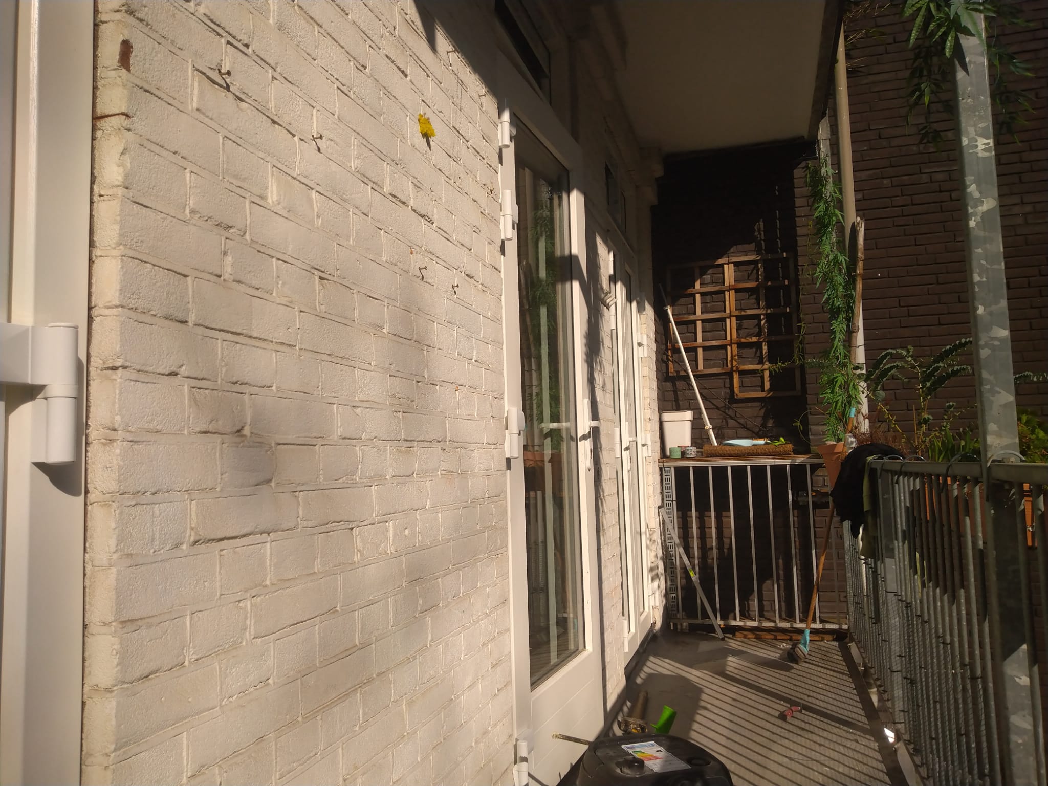 white wooden shelf near white wall