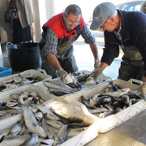 Puerto "Illa de Mar".