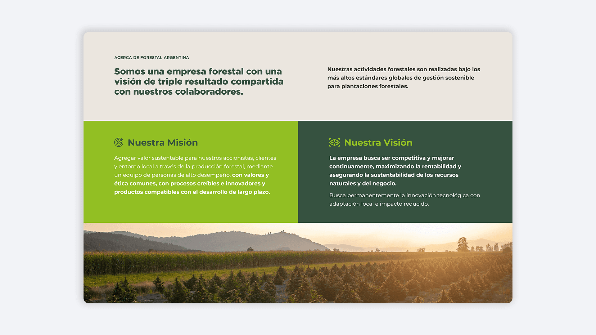 Folleto digital forestal con paisaje soleado, destacando la misión de innovación y visión de gestión sostenible.