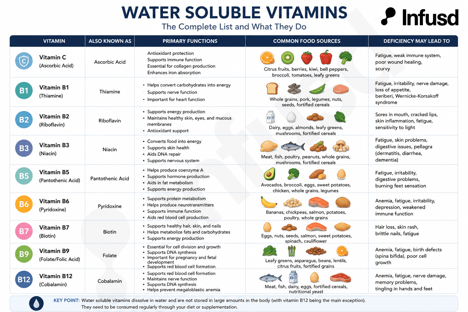 Complete List of Water Soluble Vitamins