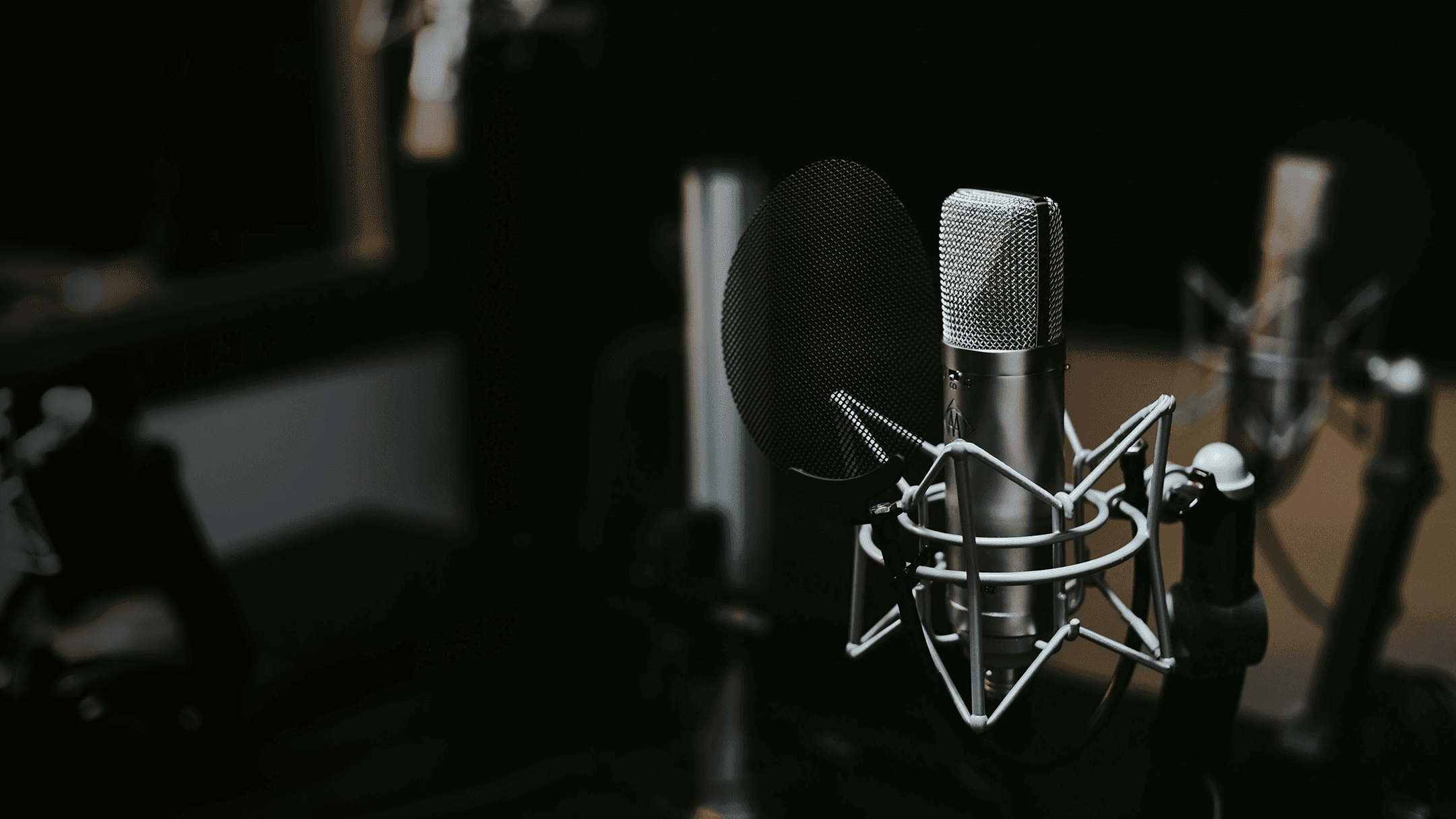 macro photography of silver and black studio microphone condenser