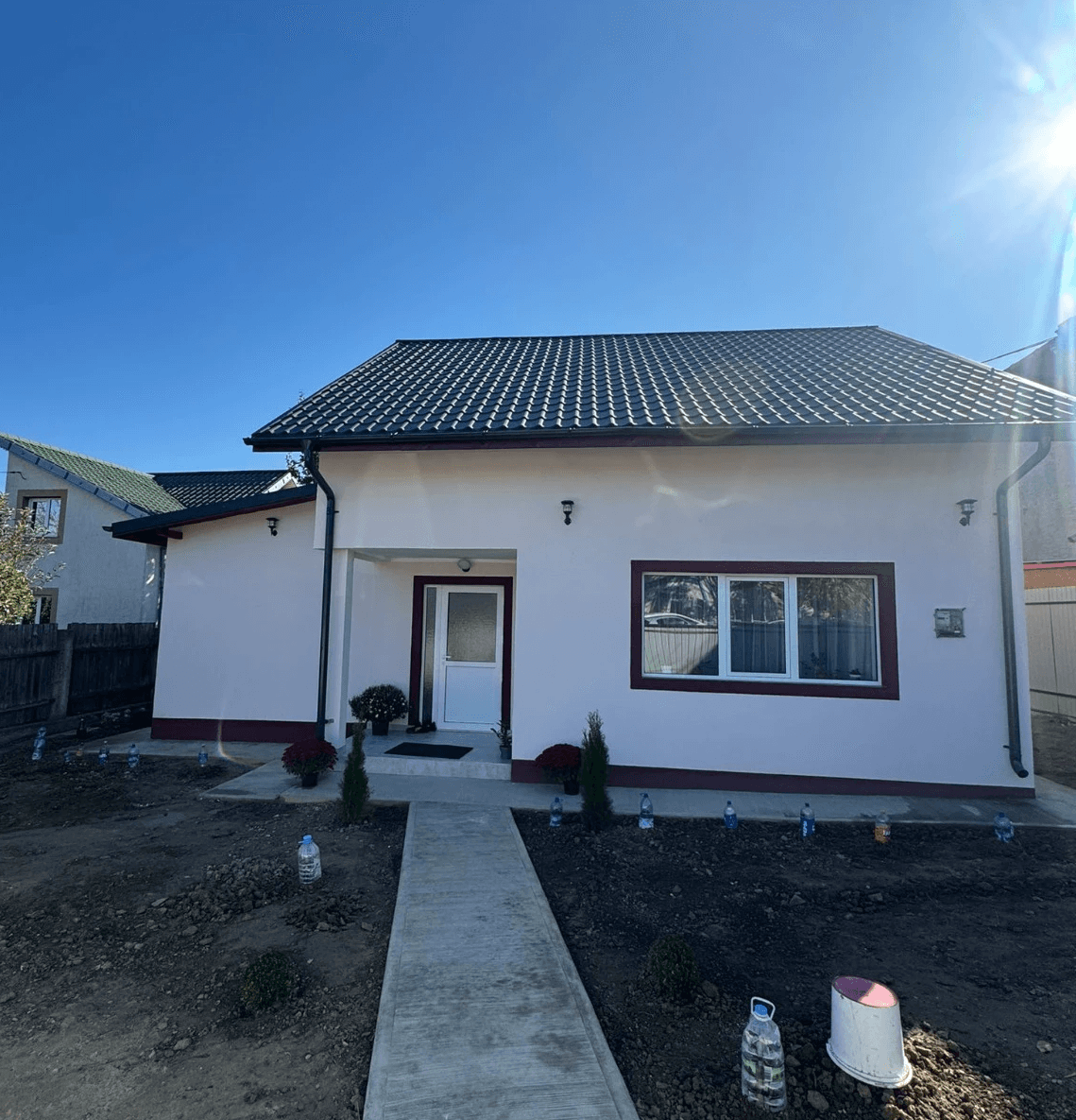 Close-up of evergreen foliage, showcasing vibrant green needles densely packed together.