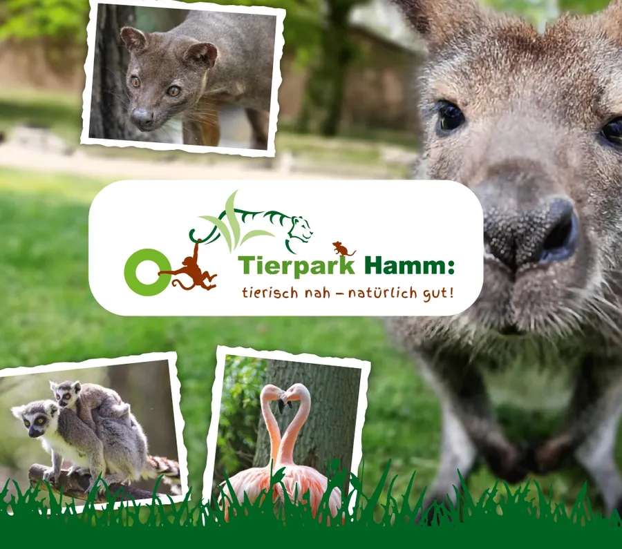 Projektvorschaubild Tierpark Hamm 