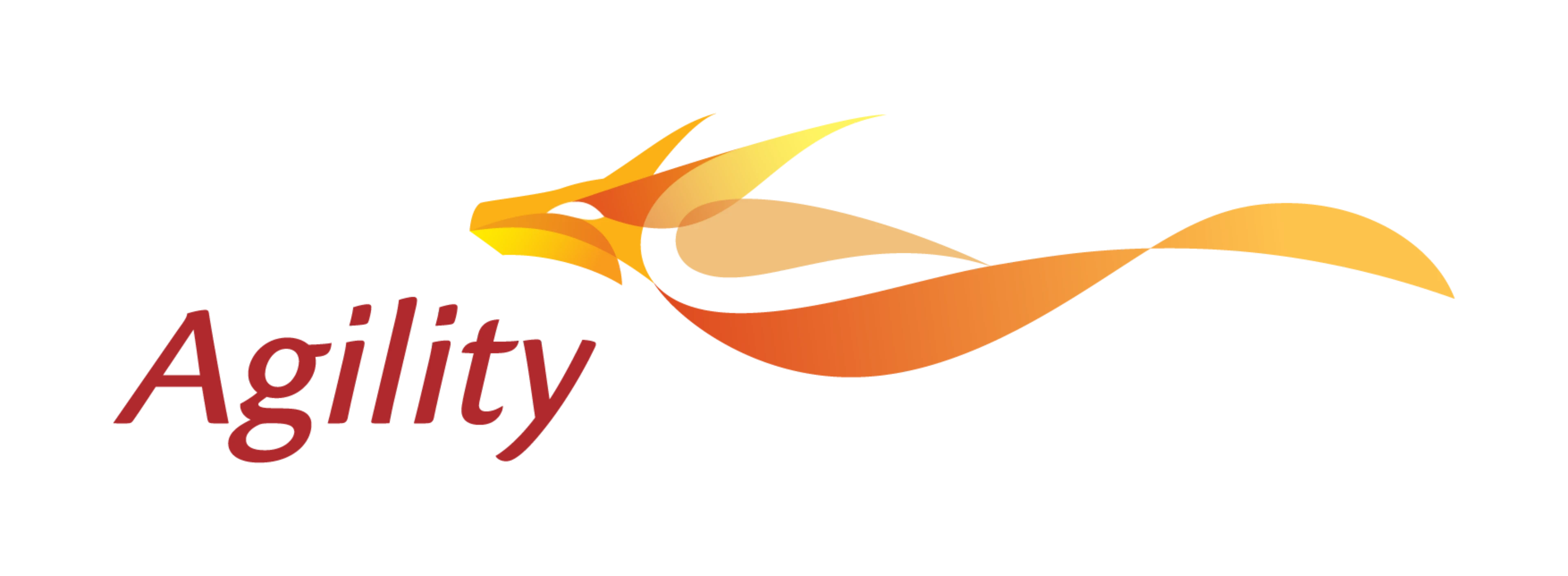 Agility Logo