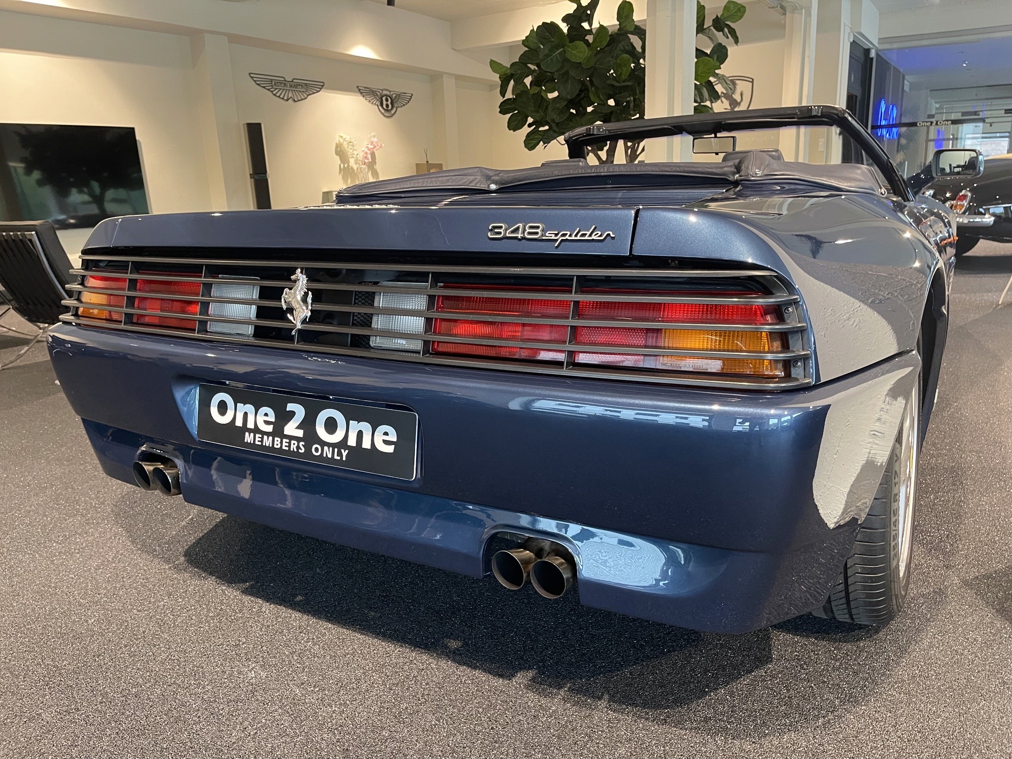 Zoomable image