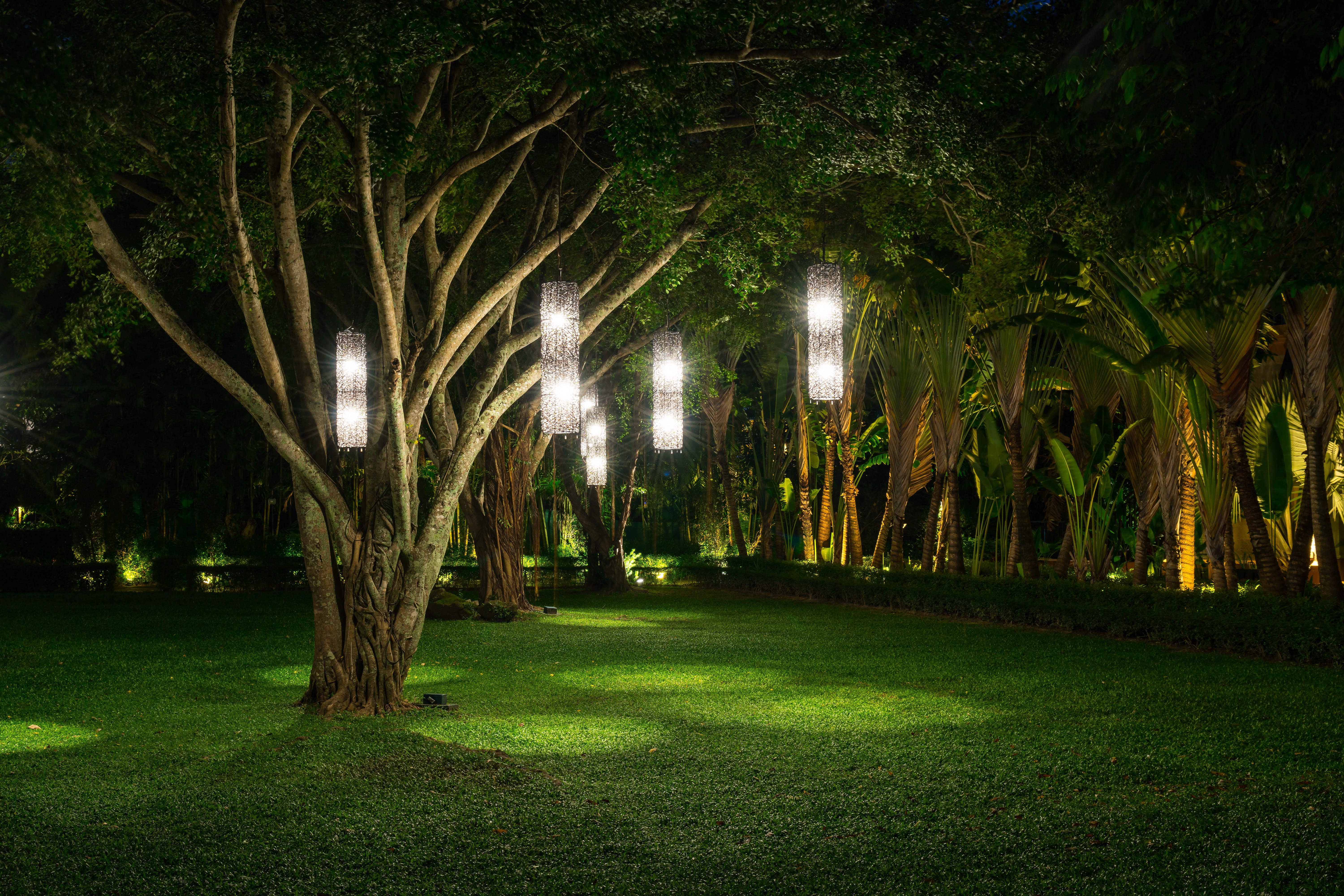 Tree's light