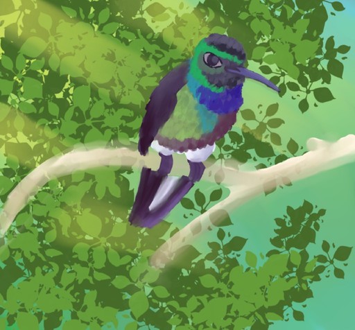 A purple-throated hummingbird on a branch among leaves, bird drawing by vixendah-foxbird-hah