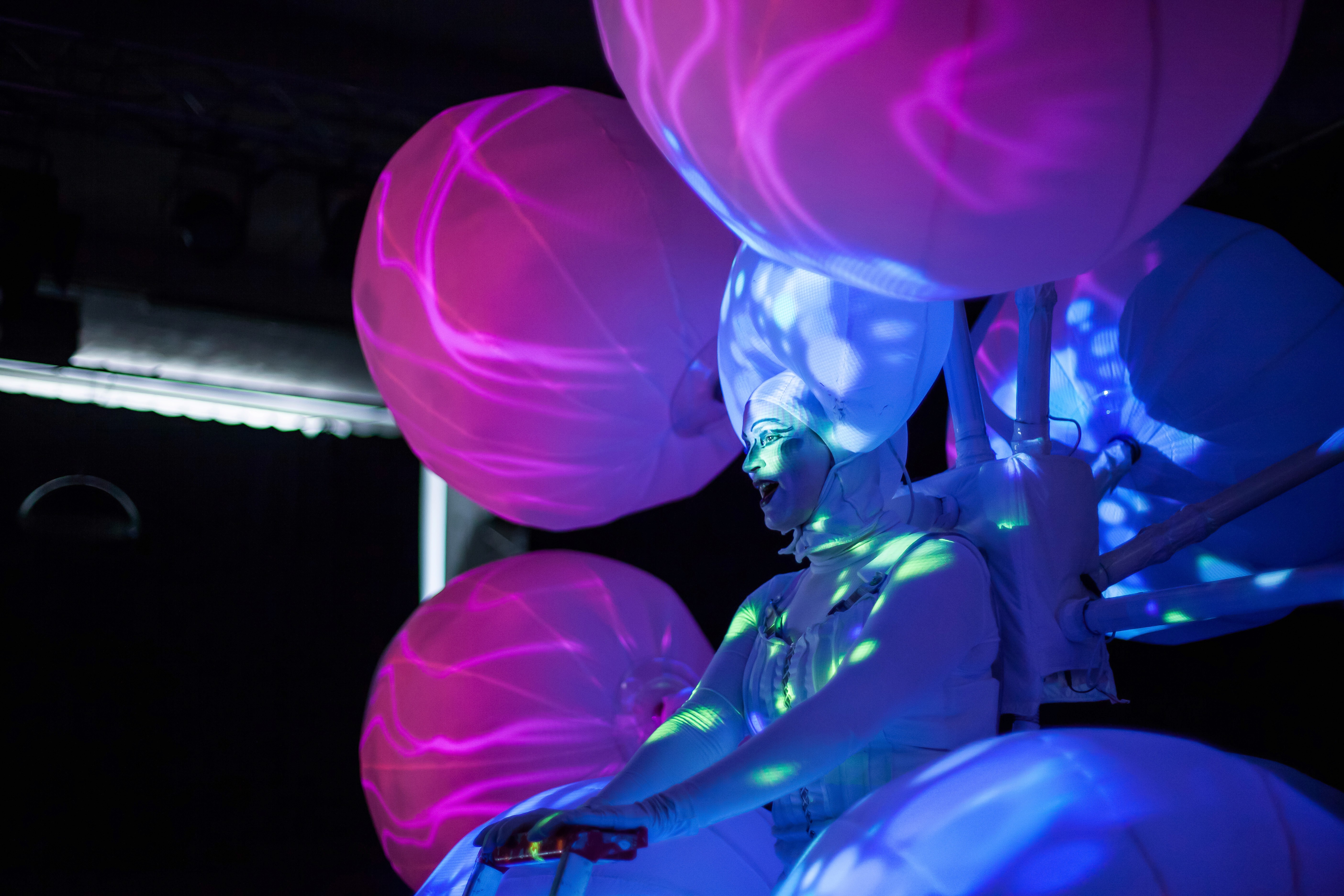 Imago Floris - augmented interactive performance installation