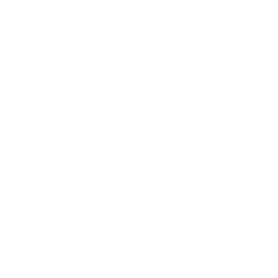 Next Arrow