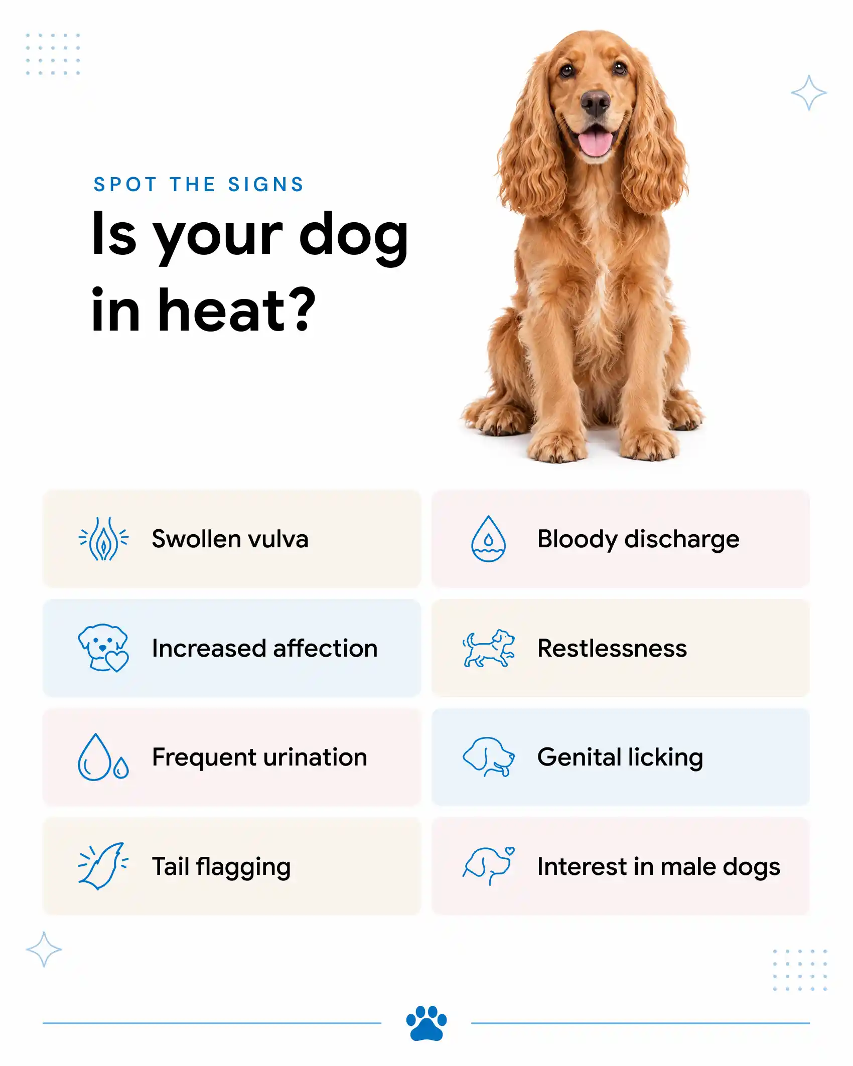 Signs Your Dog is in Heat