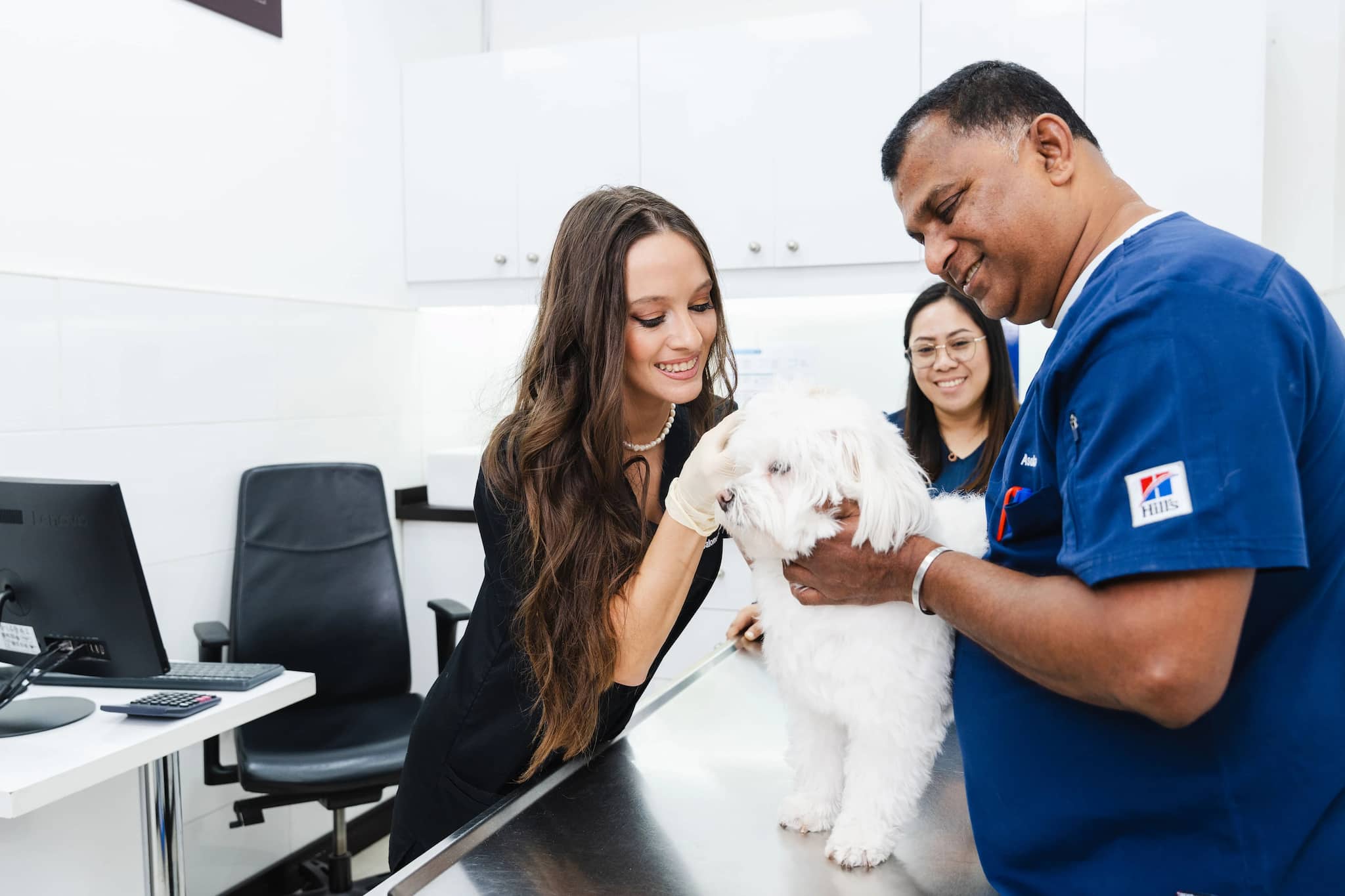 Two veterinarians are treating a white dog for cholestasis.