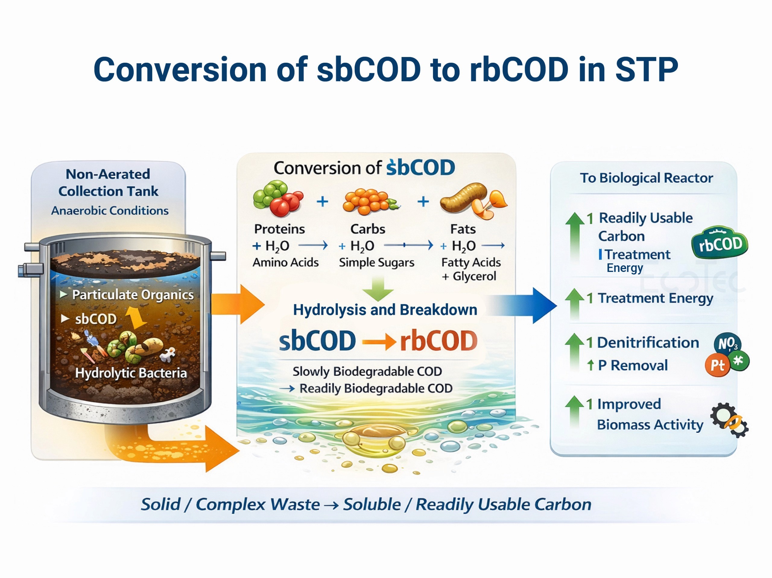 Diagram showing conversion of sbCOD to rbCOD in an STP. Particulate organic matter in a non-aerated collection tank is hydrolyzed under anaerobic conditions into soluble, readily biodegradable carbon. The converted rbCOD improves biological treatment efficiency, denitrification, phosphorus removal, and biomass activity in the reactor.