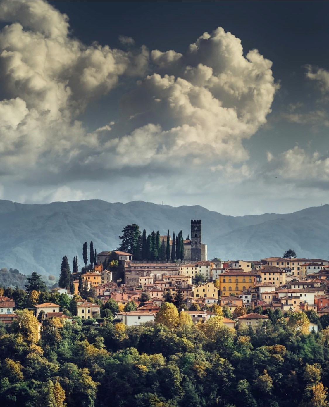 Client Photo Placeholder