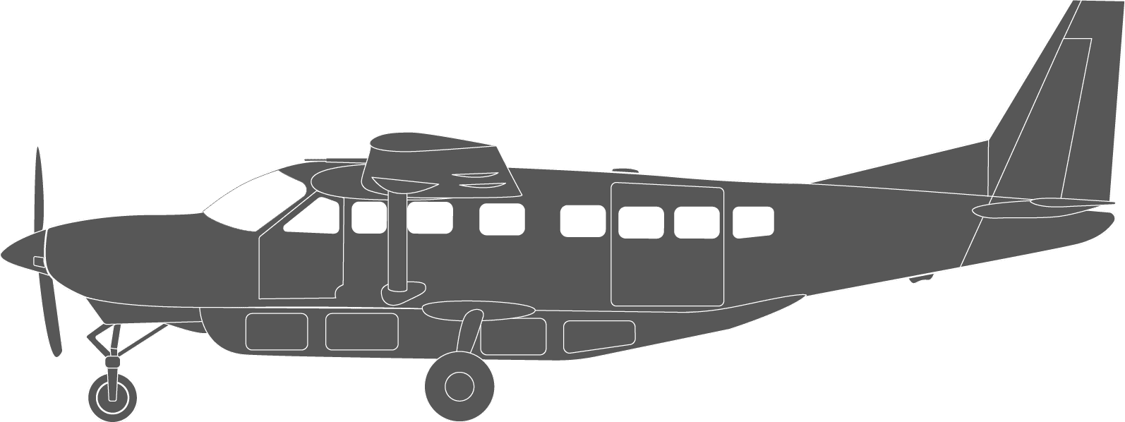 Cessna Caravan 208 Icon