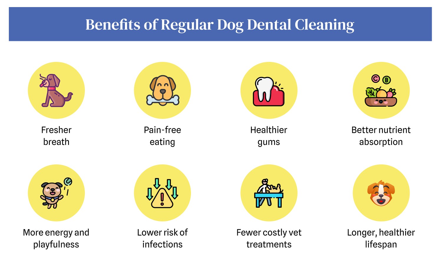 The benefits of regular dog dental cleaning for healthier teeth, fresher breath, and overall wellbeing.
