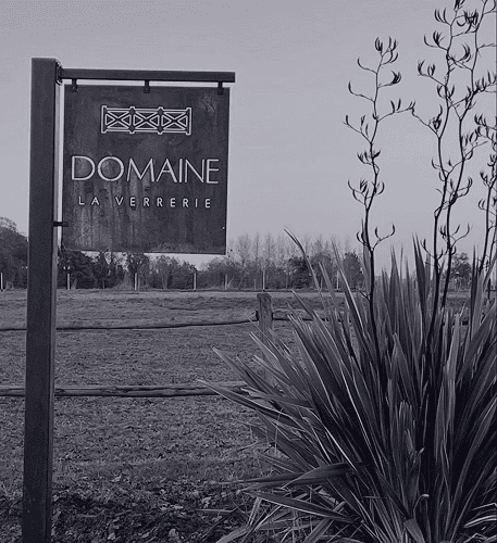 A serene pathway lined with trees leads to a distant building, bathed in warm sunlight.