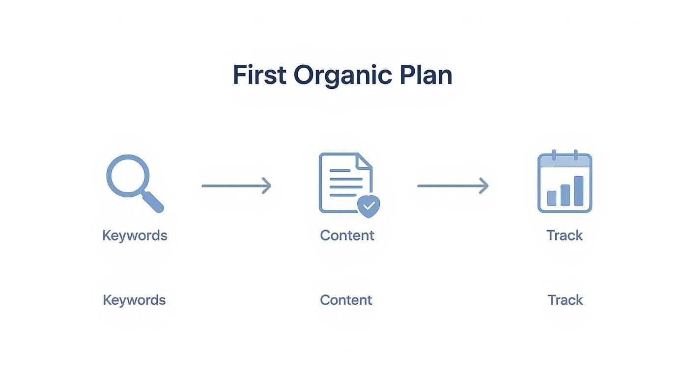 Three-step organic marketing plan workflow showing keywords research, content creation, and performance tracking with icons