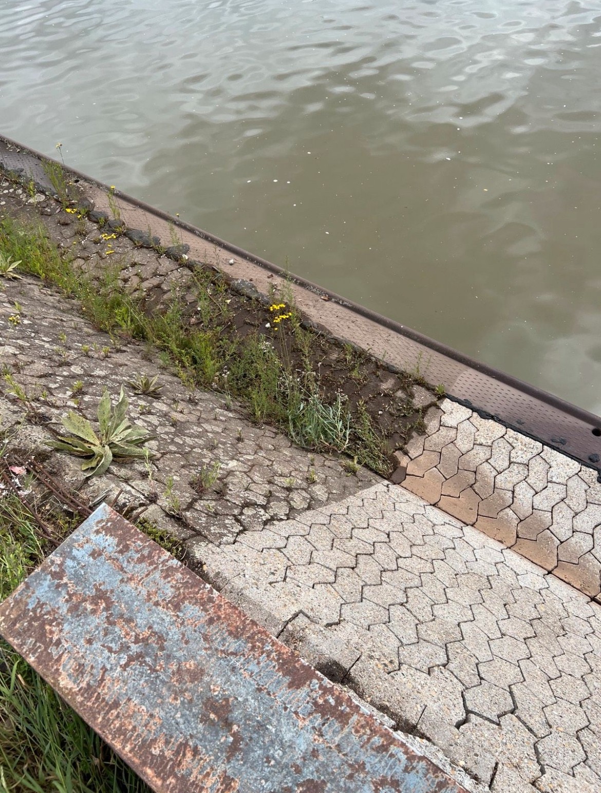 Steinreinigung am Rhein in Ludwigshafen am Rhein. Die Promenade wurde gereinigt. Vor- und Nachherbild nach einer Steinreinigung inkl. Grünabschnitt entsorgung