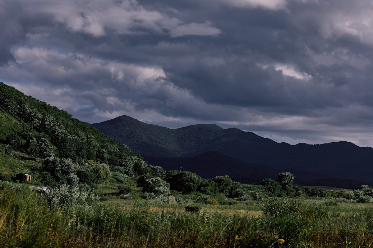 green grass field near mountain under cloudy sky during daytime