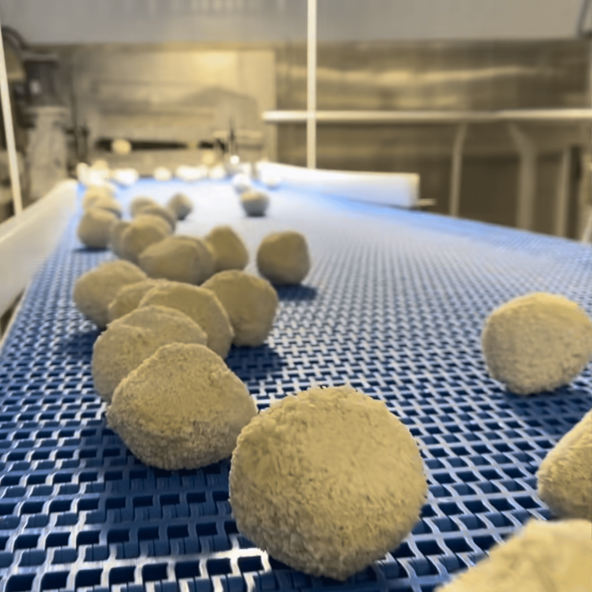 DiGrazzi conveyor belt