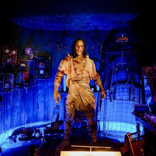 巴斯发现游 + 弗兰肯斯坦之家博物馆门票