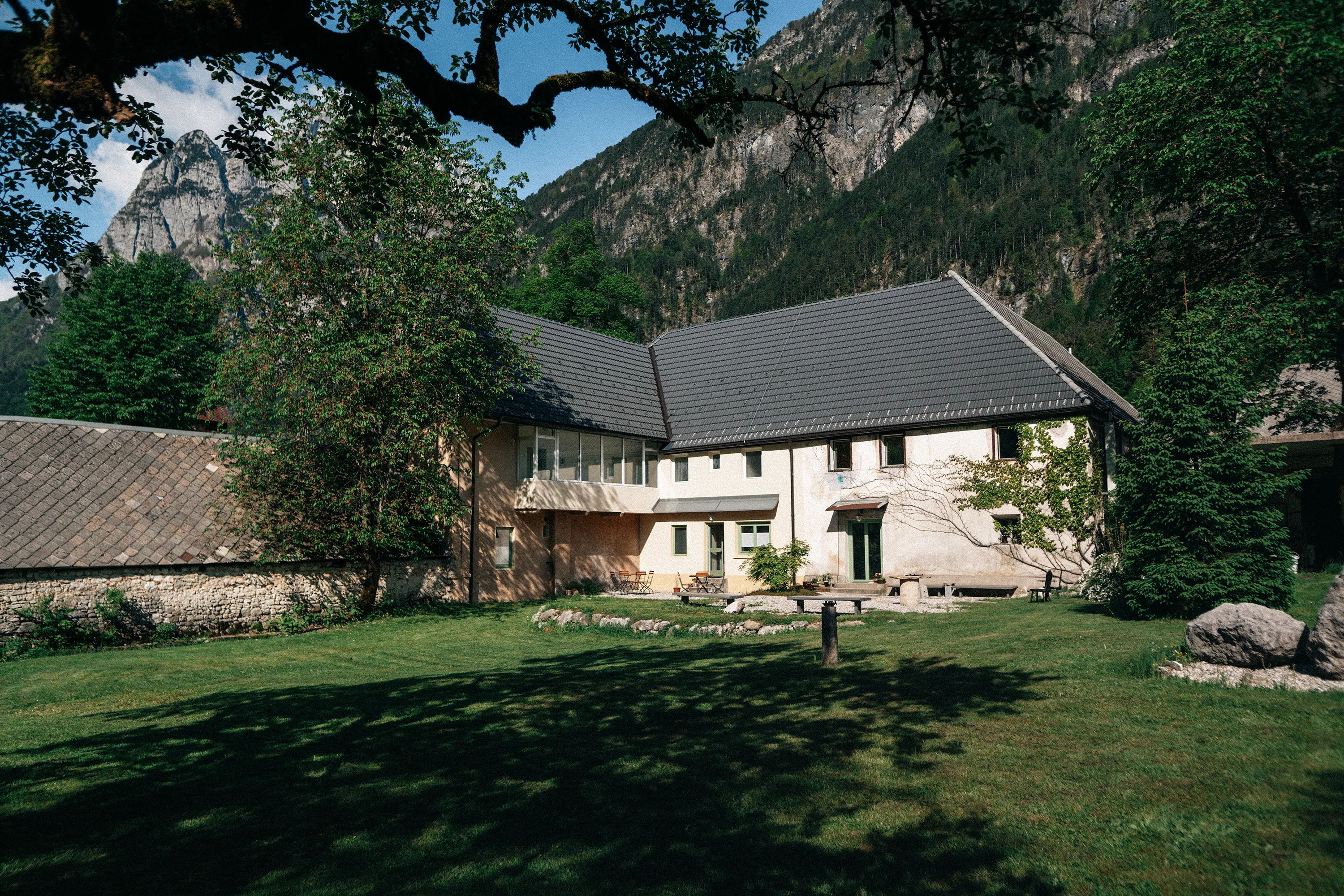 Gorska Roža Log pod Mangartom