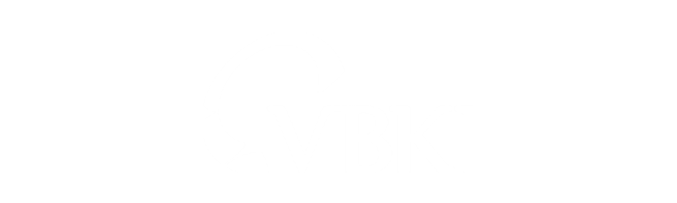 VBKI