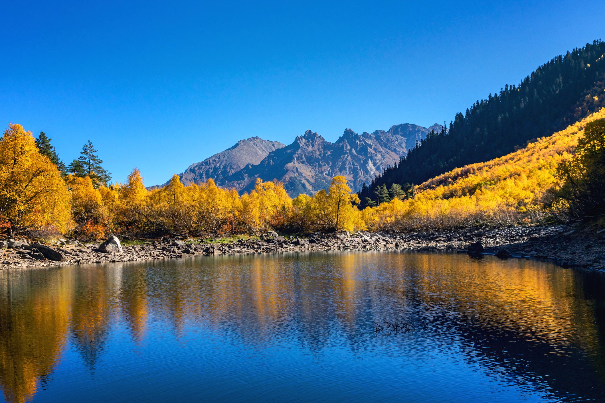 Middle-aged man in glasses working on laptop beside a window with a relaxed posture.