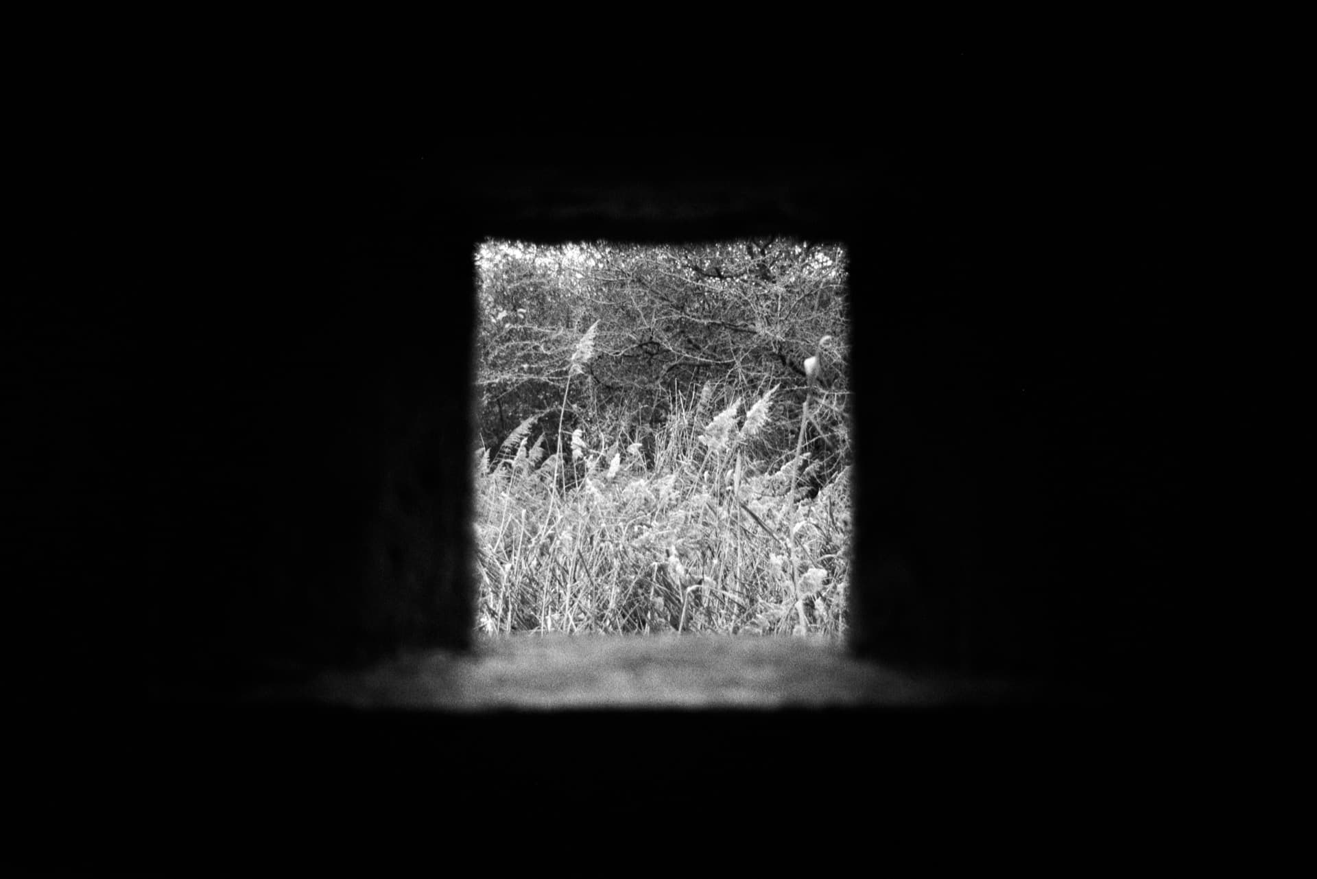 Overgrown field viewed through square opening of concrete pillbox structure