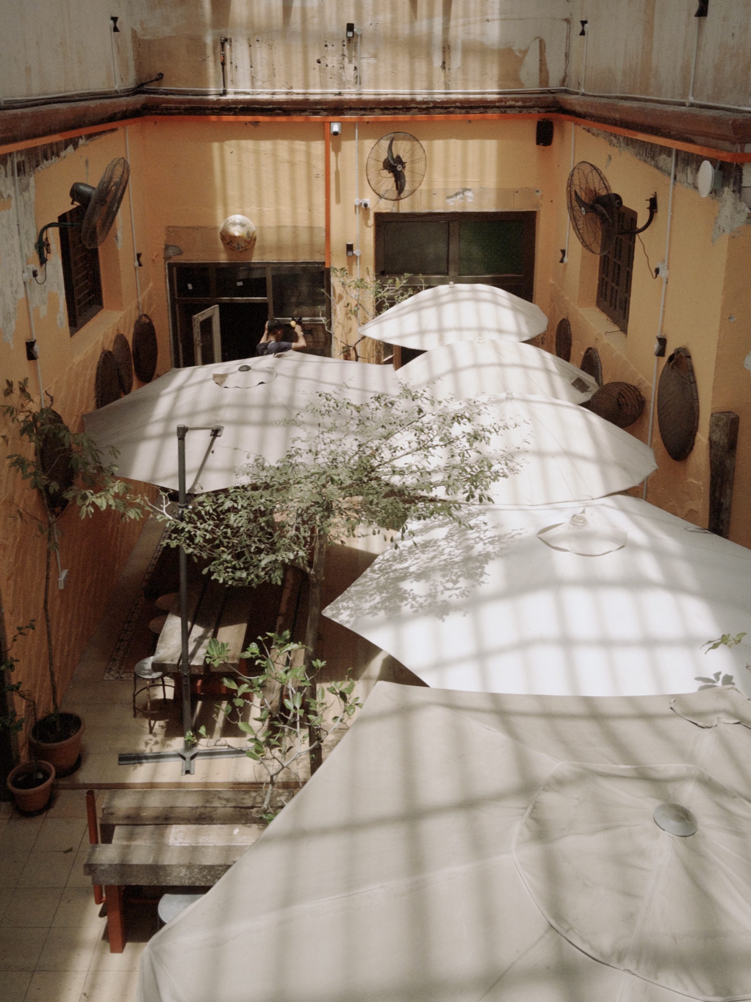 A cozy indoor space at Liku Likoo Lekiu, featuring white umbrellas, wooden benches, and potted plants under sunlight streaming through high windows.